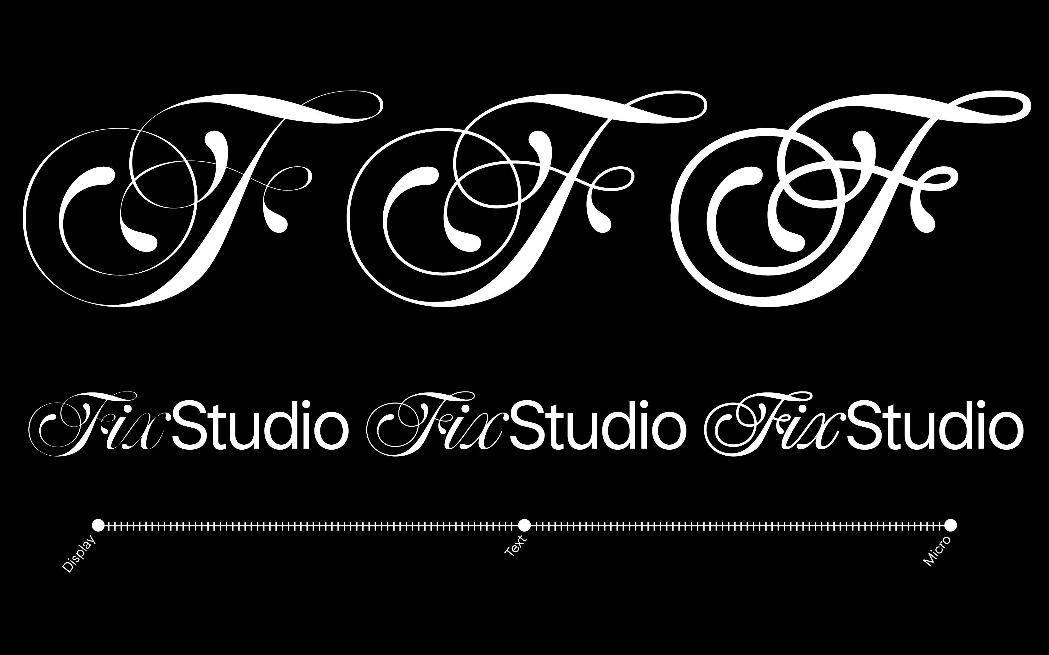 The three version accessible through the Optical Size: Display, Text, Micro